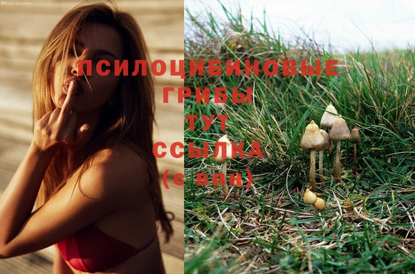 хмурый Карпинск