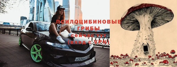 стафф Армянск